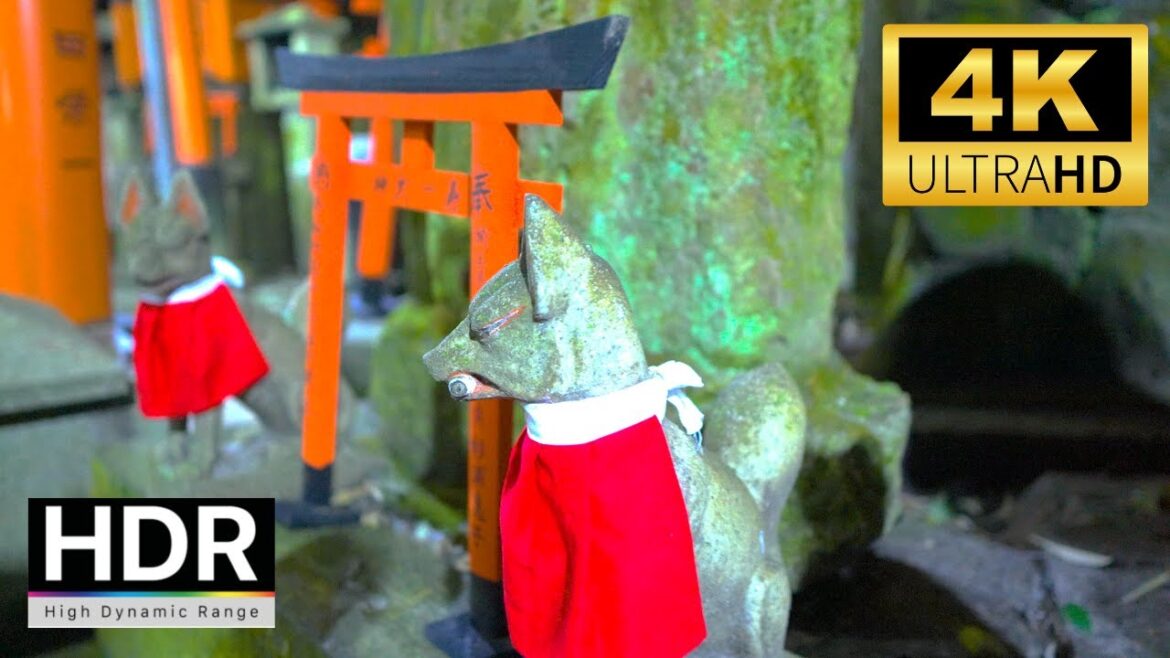 【4K HDR】夜散歩 -京都-〖伏見稲荷大社〗