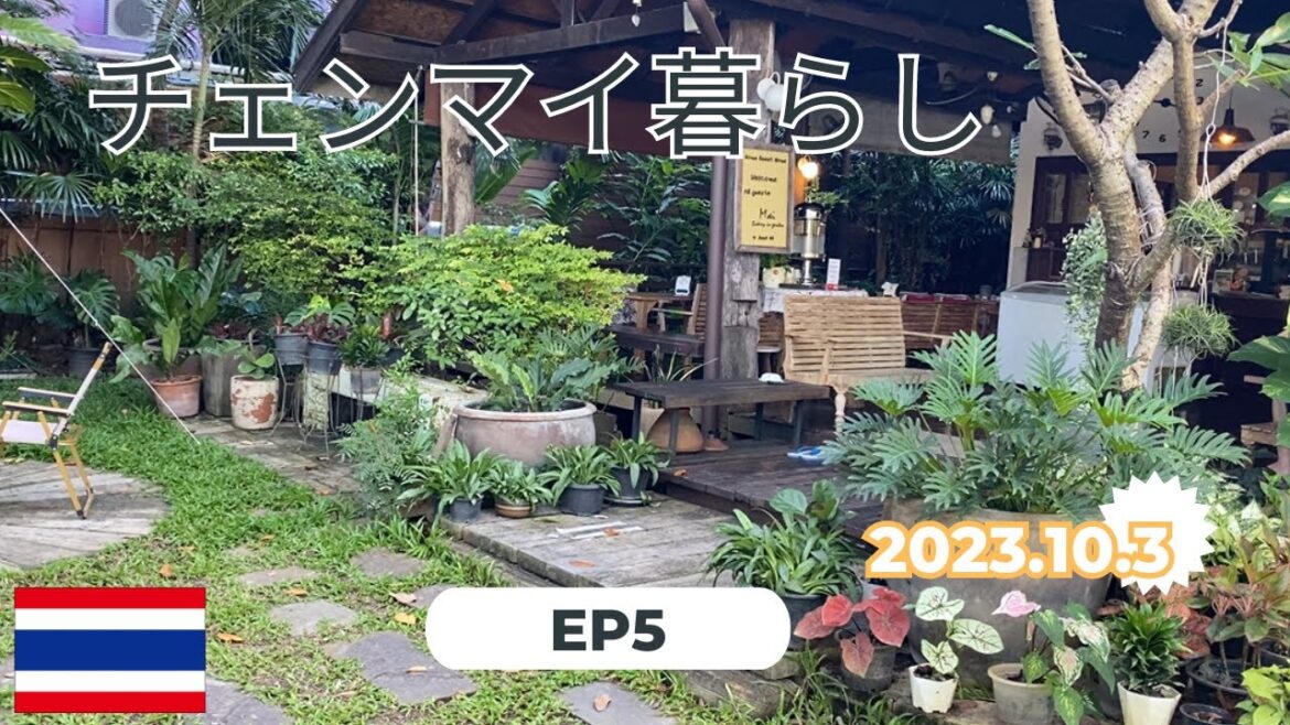 【Thailand life 🇹🇭 タイ生活 EP5】近所のカフェでブランチ&ローカル市場で総菜の買い物!|チェンマイ日常生活| 【Thailand life 🇹🇭 タイ生活 EP5】近所のカフェでブランチ&ローカル市場で総菜の買い物!|チェンマイ日常生活|
