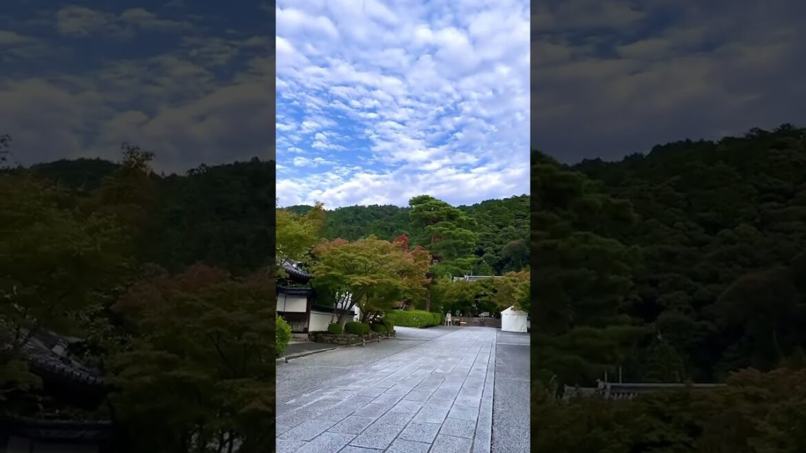 【KYOTO】Good View at Eikando Temple