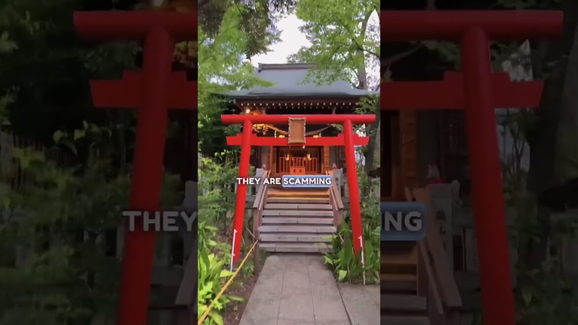 BEWARE of These Scammers in Japanese Shrines #japan #japantravel #scammers #japantrip #shrine