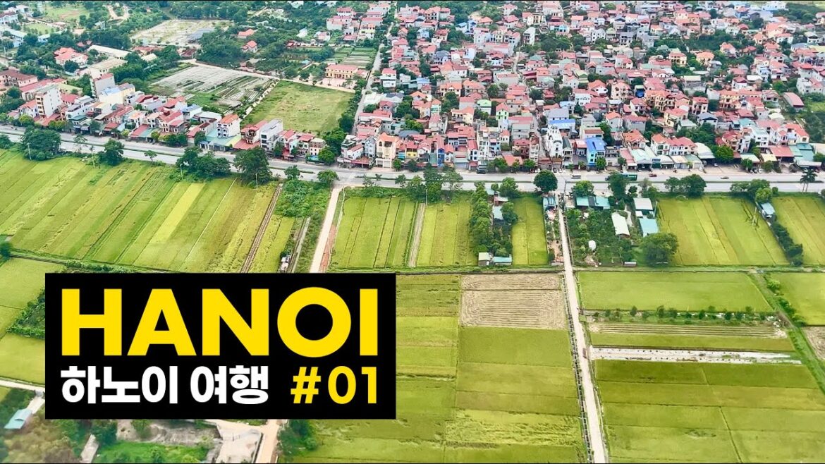 베트남 하노이 여행 (🇻🇳EP1) 도쿄에서 하노이까지 여행의 시작!