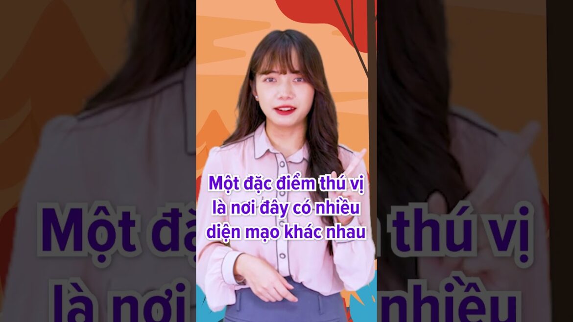 【Insta360 X3】skillism VR/360 - 21 Seiki no mori & Hiroba CHIBA / Công viên rộng lớn giữa Matsudo