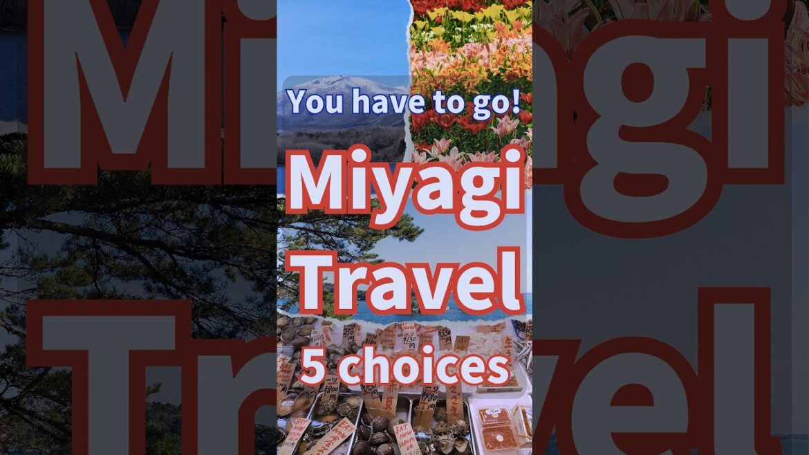 Japan Miyagi Travel 5 recommended places to visit Miyagi Travel 5 choices #shorts #short
