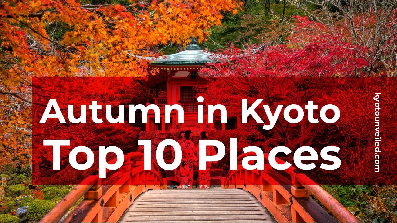 Top 10 Must Visit Fall Foliage Spots in Kyoto for 2023 - Alo Japan All ...