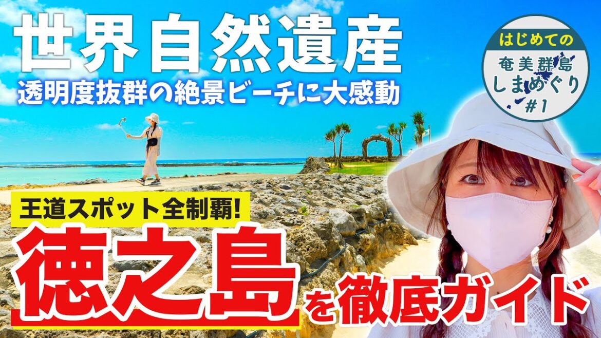 【離島好き必見】徳之島ってこんなに綺麗なの⁉️主要観光地を全力で紹介&解説/子宝・闘牛・ビーチ【フェリーで巡る奄美群島6泊7日】 【離島好き必見】徳之島ってこんなに綺麗なの⁉️主要観光地を全力で紹介&解説/子宝・闘牛・ビーチ【フェリーで巡る奄美群島6泊7日】