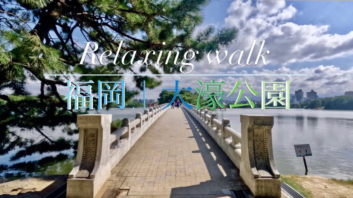 【4K 🌳福岡市中心部の人気な公園といえばここ! 】福岡散歩〜大濠公園リアルサウンド〜(Fukuoka relaxing walk ~ Ohori Park ~ Japan) 【4K 🌳福岡市中心部の人気な公園といえばここ! 】福岡散歩〜大濠公園リアルサウンド〜(Fukuoka relaxing walk ~ Ohori Park ~ Japan)