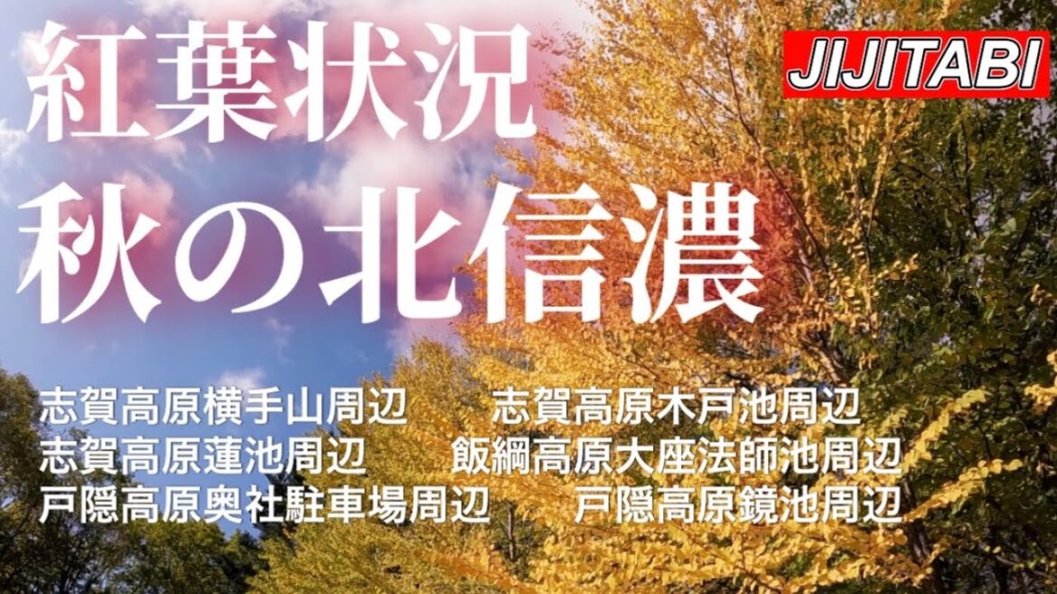 秋の北信濃【紅葉情報】志賀高原・飯綱高原・戸隠高原2023.10.12撮影Nagano, Japan [Autumn foliage information] 2023.10.12