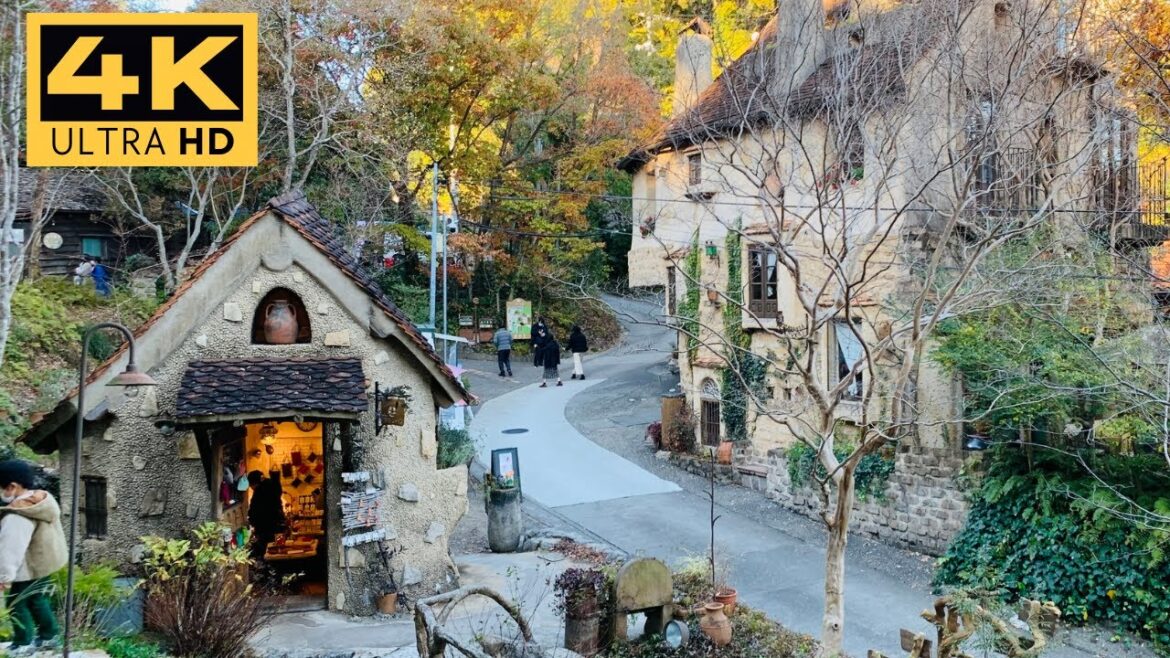 【4K】 ぬくもりの森 | Nukumori no Mori 【4K】 ぬくもりの森 | Nukumori no Mori