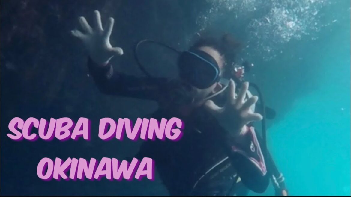 [Travel With Me] First Scuba Diving Okinawa  (feat. Finding Nemo)