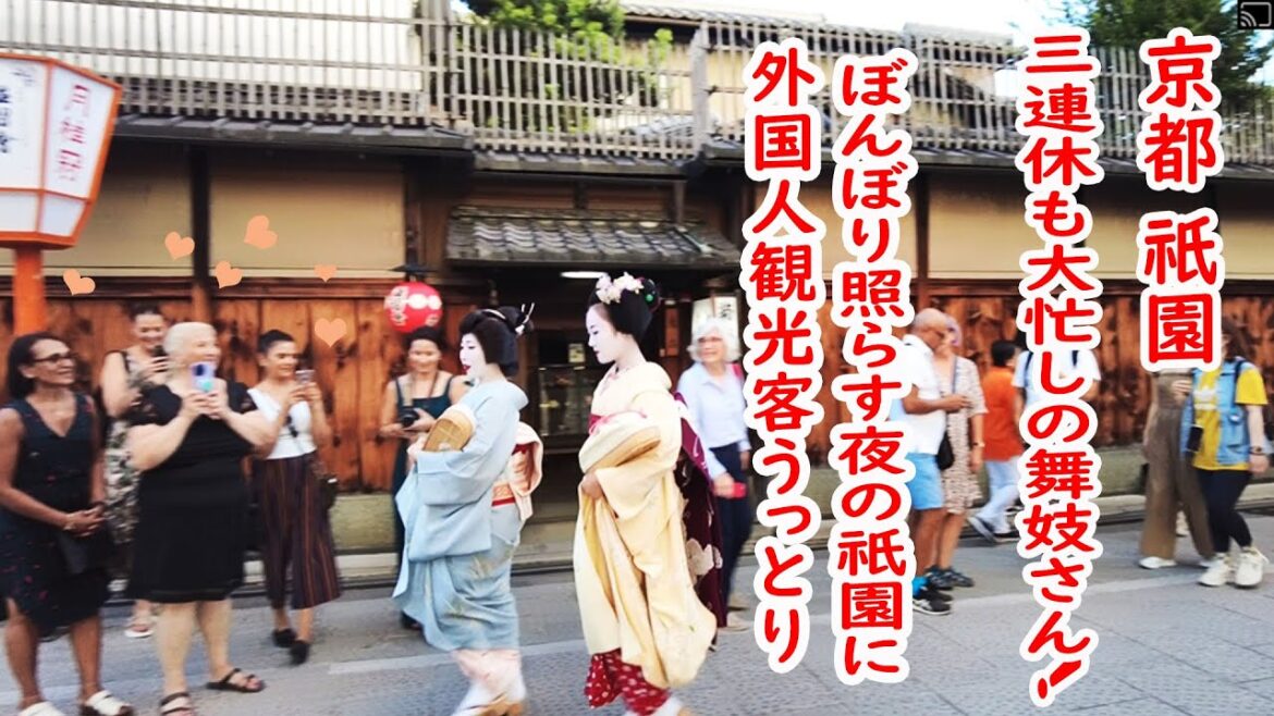 [2023/9/17]祇園 舞妓さん連休も大忙し！外国人観光客が目を奪われる芸舞妓さん｜maiko　Kyoto　Gion