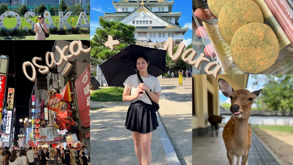 Dotonbori, 7-Eleven Snack Haul, Nara Deer Park & Famous Mochi | Osaka Japan Vlog Dotonbori, 7-Eleven Snack Haul, Nara Deer Park & Famous Mochi | Osaka Japan Vlog