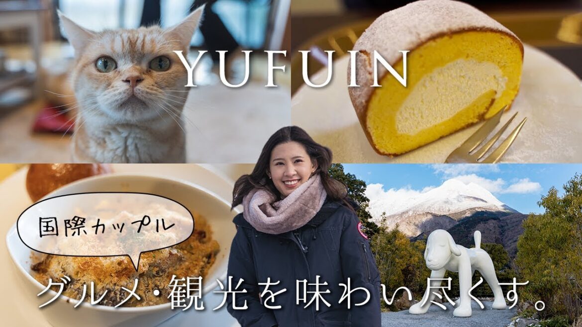 【九州旅行1週間】冬の大分湯布院へカップル旅行1泊2日!グルメ・豆柴カフェ・猫の宿・由布岳 【九州旅行1週間】冬の大分湯布院へカップル旅行1泊2日!グルメ・豆柴カフェ・猫の宿・由布岳