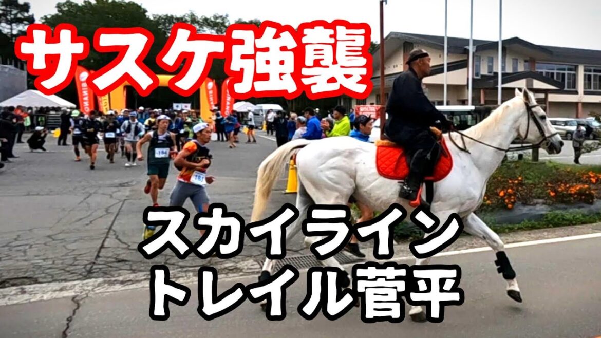 スカイライントレイル菅平2023~またエイドステーションで騒いできた~ スカイライントレイル菅平2023~またエイドステーションで騒いできた~