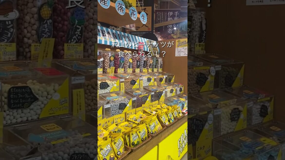 好きなピーナッツを選べて楽しすぎた！うまくたの里を満喫！#japan #travel #chiba #ピーナッツ#南房総