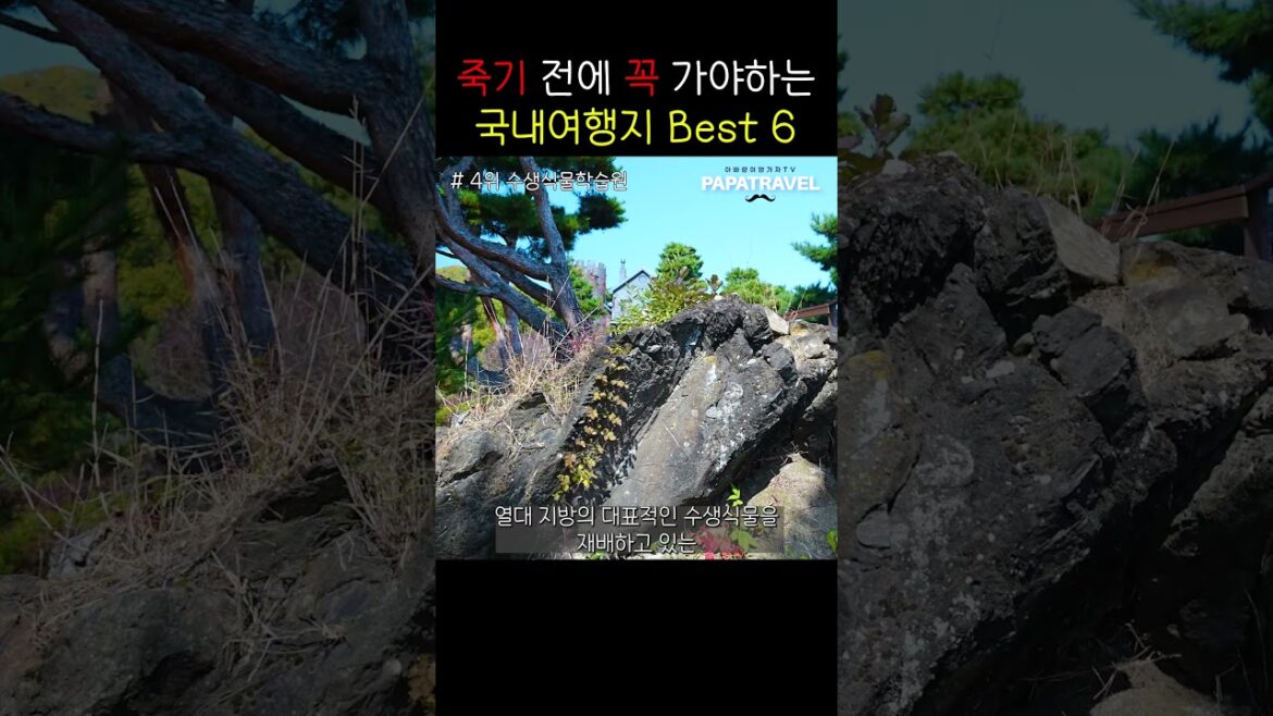 [#파파트래블] 죽기 전에 꼭 가 봐야하는 국내여행지 BEST6