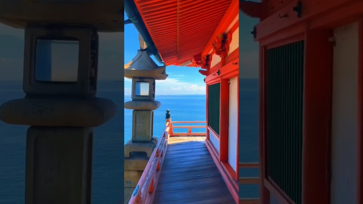 Beauty of Japan #shorts #youtubeshorts #japan #travel