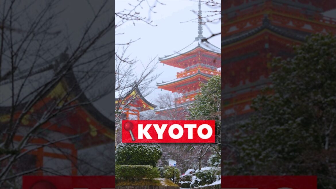⛩️Visiting KYOTO in JAPAN!