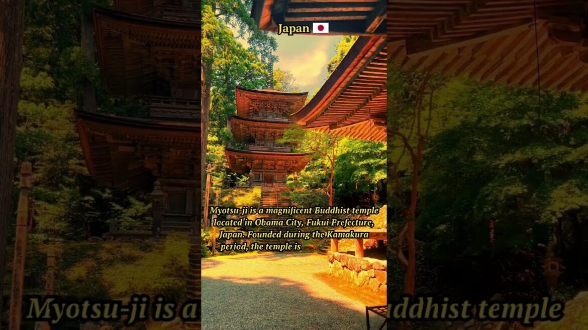 Exploring Myotsu-ji: A Timeless Buddhist Temple in Fukui, Japan