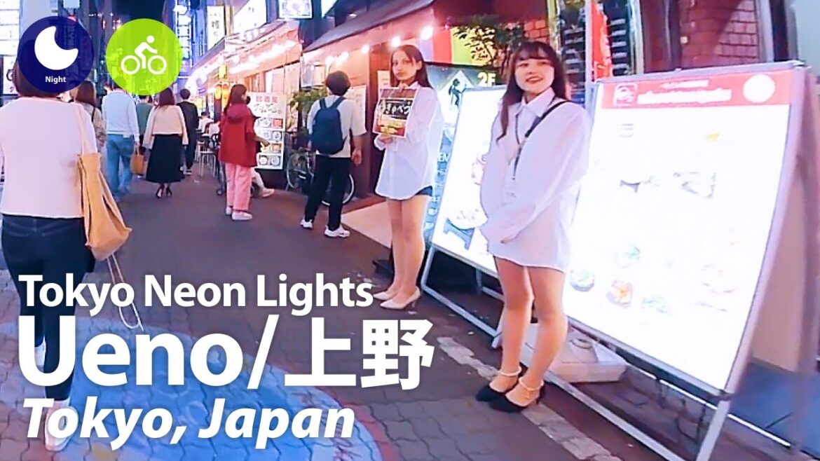 ⁴ᴷ Tokyo: Ueno Station (上野駅) – Japan Walking & Cycling Tour (October, 2023) | Street Ambience ⁴ᴷ Tokyo: Ueno Station (上野駅) - Japan Walking & Cycling Tour (October, 2023) | Street Ambience