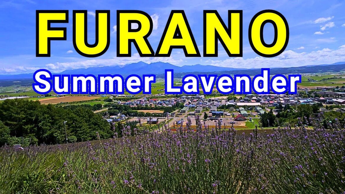 3 Days Furano | Summer Flower, Onsen and Nature  [Ep 2/4] ~ Japan Travel 2023
