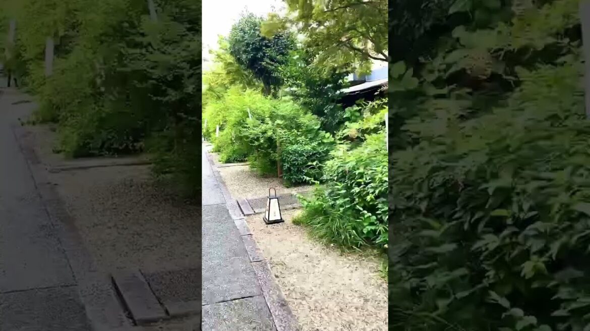 【KYOTO】Hidden Gems - Nashinoki shrine Café