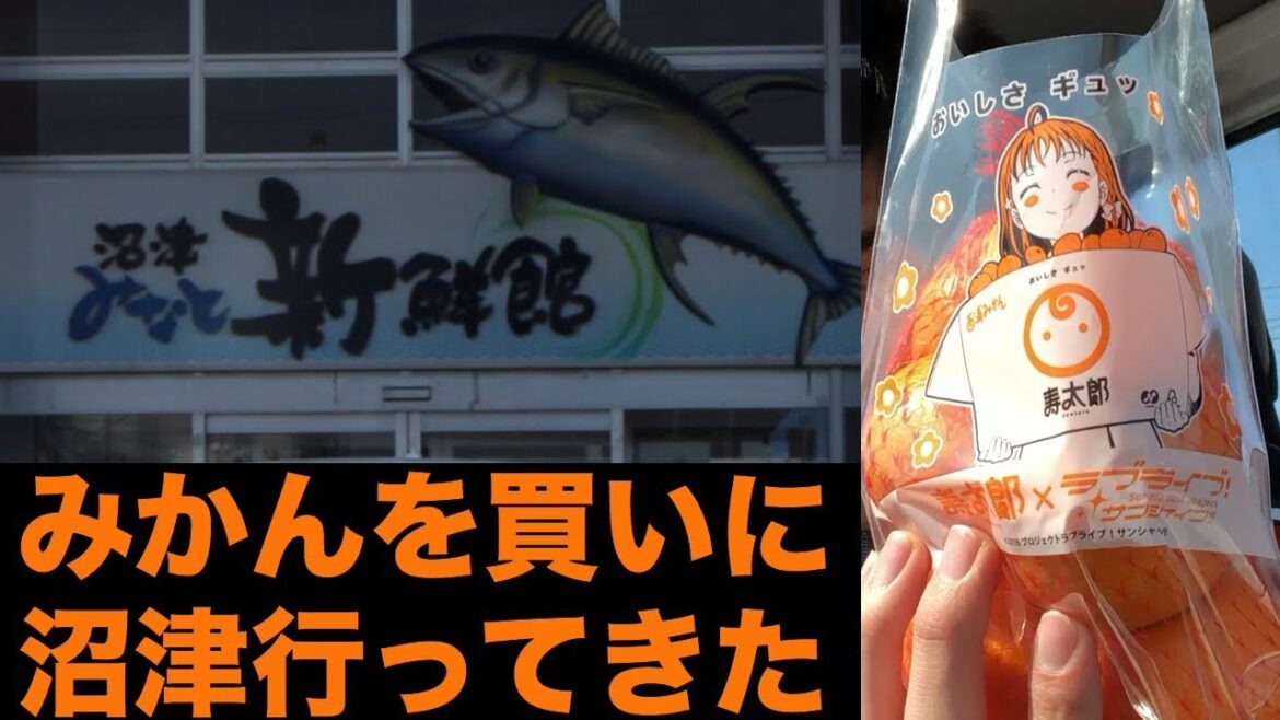 【聖地巡礼】みかんを買いに沼津行って来た【ラブライブサンシャイン】 【聖地巡礼】みかんを買いに沼津行って来た【ラブライブサンシャイン】