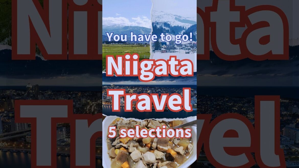 Niigata Travel 5 selections Japanese Recommendations for Sightseeing in Niigata #shorts #short