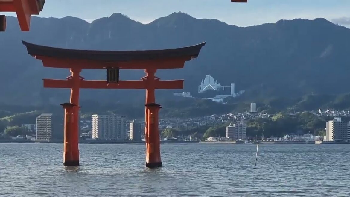 This Japanese Shrine was built in AD597!! #unesco This Japanese Shrine was built in AD597!! #unesco