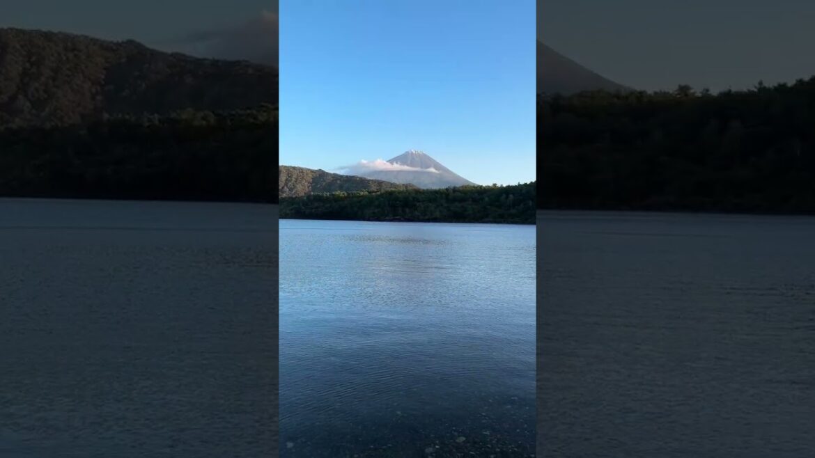 西湖 / Lake Saiko (Shorts) -- 富士山 / Mt. Fuji (2023/10/5)