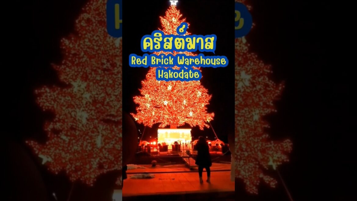 บรรยากาศคริสต์มาส ที่ฮาโกดาเตะ #ฮาโกดาเตะ #Hakodate #เที่ยวญี่ปุ่นด้วยตัวเอง #เนวิเกตุ้ย #Travel