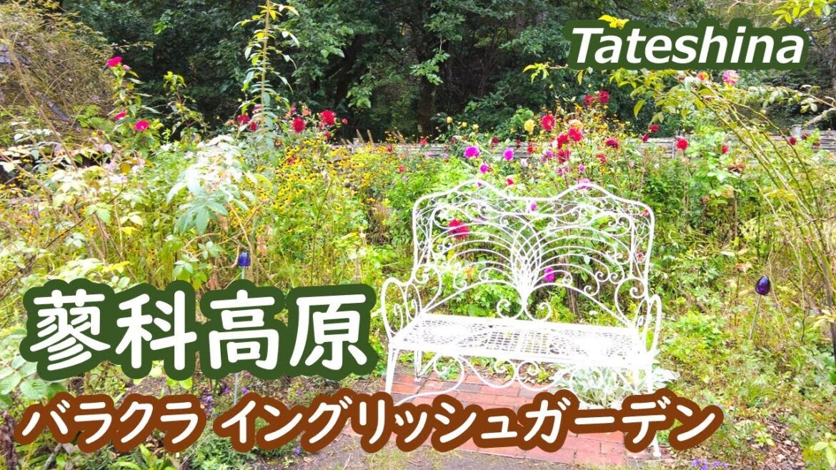 蓼科高原バラクライングリッシュガーデンを訪れアフタヌーンティーを楽しみ、蓼科グランドホテルで温泉を堪能 Tateshina Nagano Japan｜シニア・長野移住ライフ｜田舎暮らしvlog 114