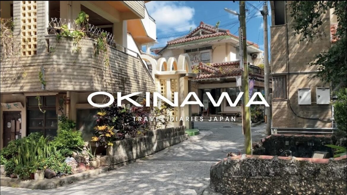 A day in Okinawa🇯🇵 | Japan’s healthy cuisine, Okinawan pottery, exploring Naha A day in Okinawa🇯🇵 | Japan's healthy cuisine, Okinawan pottery, exploring Naha