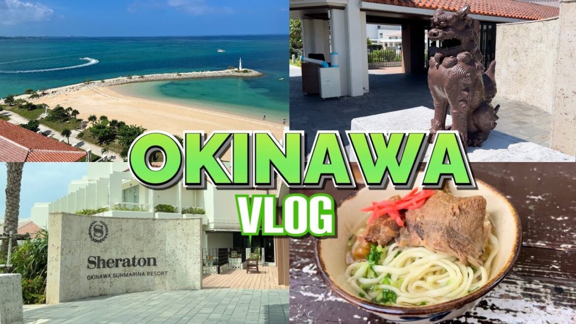 【Vlog】 3泊4日 シェラトン ホテル 満喫 沖縄旅行 ep.01 | ダイビング | okinawa | 오키나와 여행