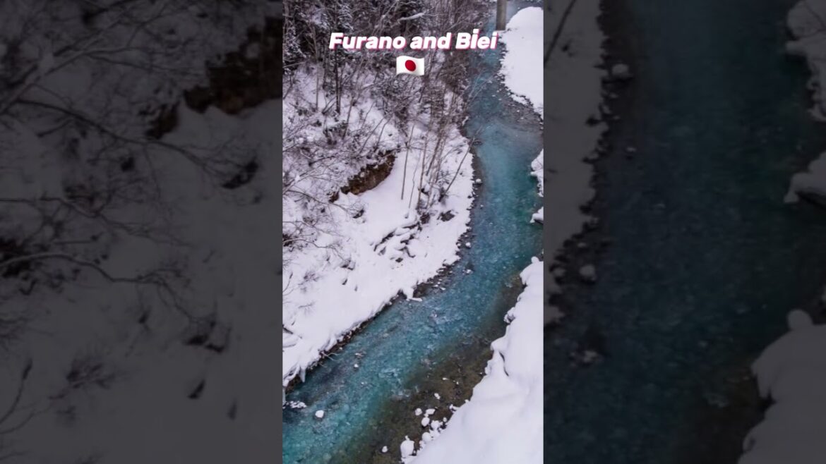Furano and Biei Japan 🇯🇵