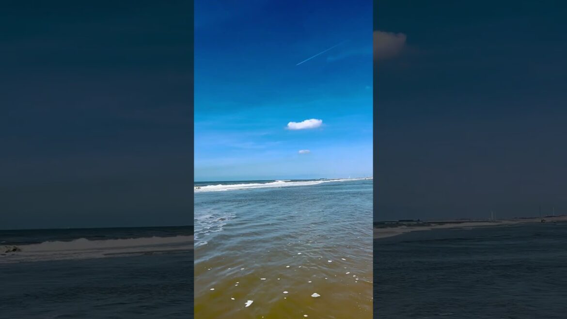 Summers on the Beech 🌊 #europe #shorts #trending #travel Summers on the Beech 🌊 #europe #shorts #trending #travel