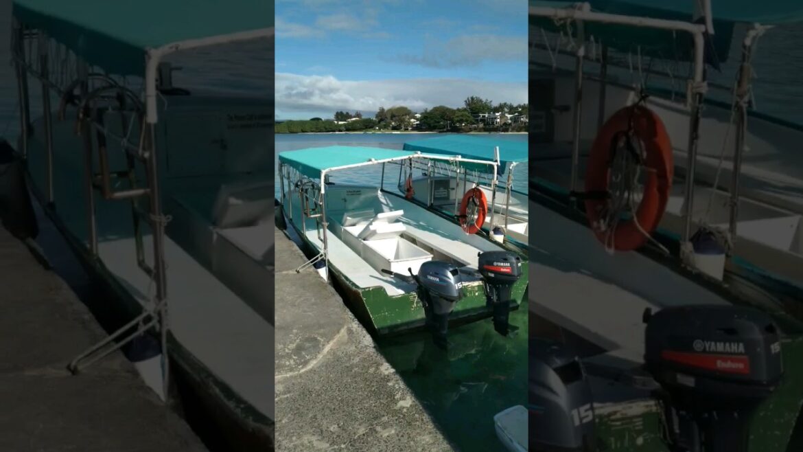 Boating | swimming | diving | Mauritius #shorts #mauritius Boating | swimming | diving | Mauritius #shorts #mauritius