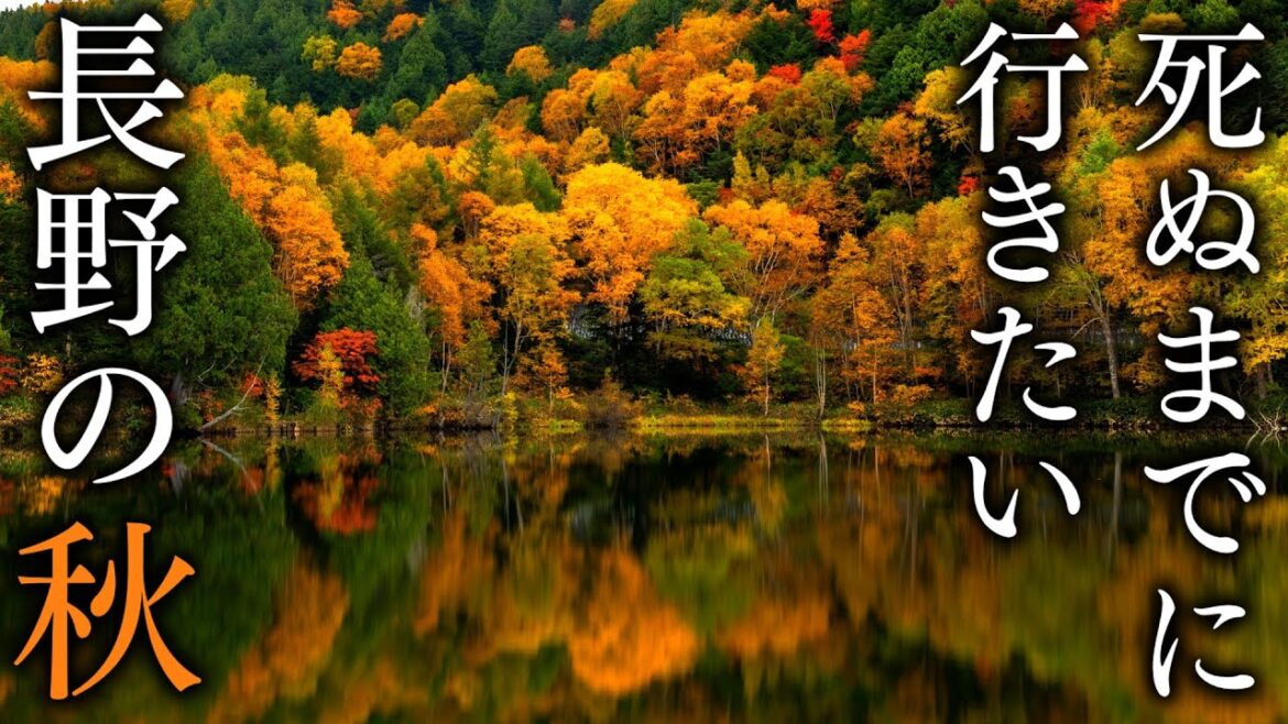 【まるで絵画】秋に行きたい長野の紅葉絶景 33選 - JAPAN in 4K