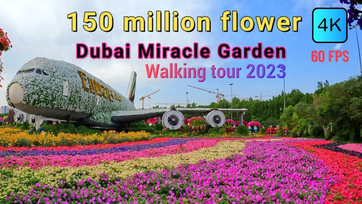 Dubai Miracle Garden | 150 million flowers paradise | Walking tour Dubai Miracle Garden | 150 million flowers paradise | Walking tour