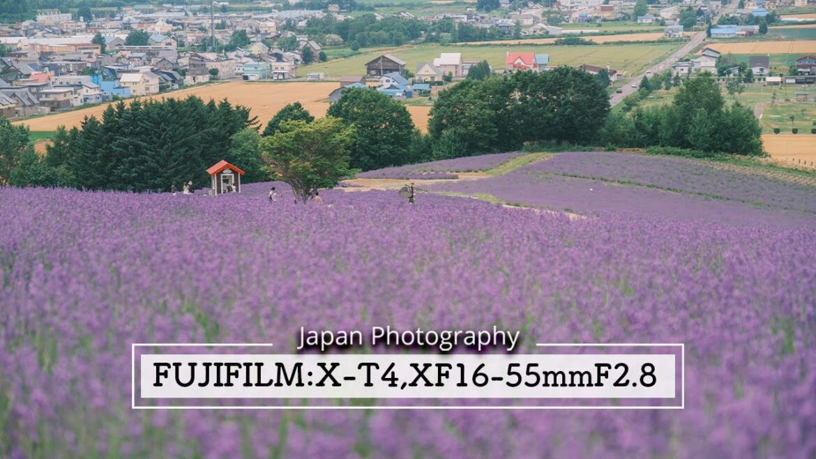 Japan Street Photography in hokkaido – Fujifilm X-T4 + XF16-55mmF2.8 R LM WR (Vol.15) Japan Street Photography in hokkaido - Fujifilm X-T4 + XF16-55mmF2.8 R LM WR (Vol.15)