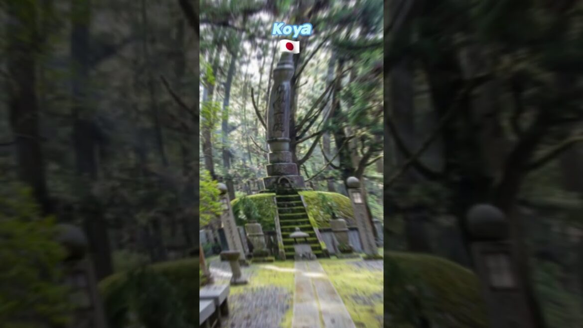 Koya Japan 🇯🇵 Koya Japan 🇯🇵