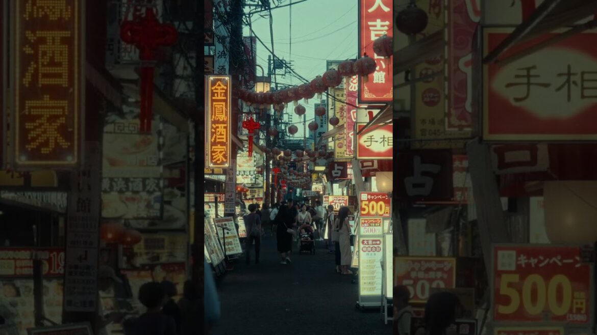 Yokohama Chinatown looks like it's straight out of Cyberpunk 🌃😵‍💫 #travel #japan