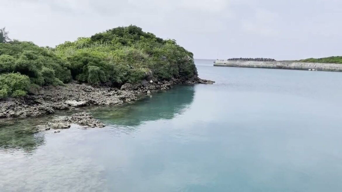 The fishing port of Uribama was blue 2023.09.24
