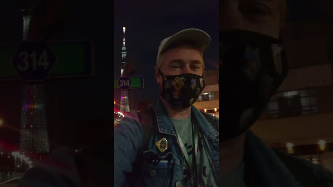 4  dec  #japon  #short  bye bye #skytree