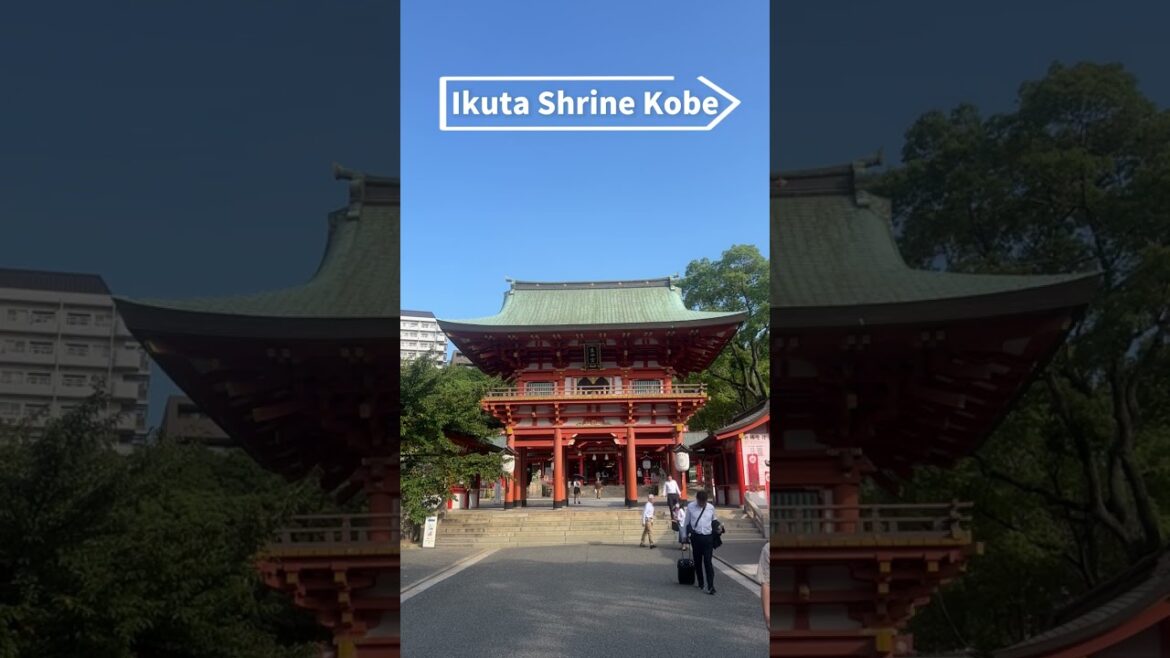 Kobe`s matchmaking  "Ikuta Shrine,生田神社＃kobe#japan #travel