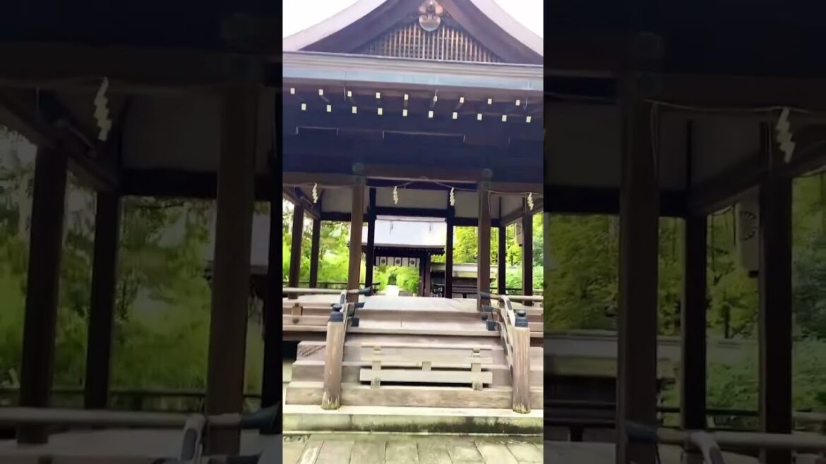 【KYOTO】Beautiful Flowers & Nashinoki Shrine