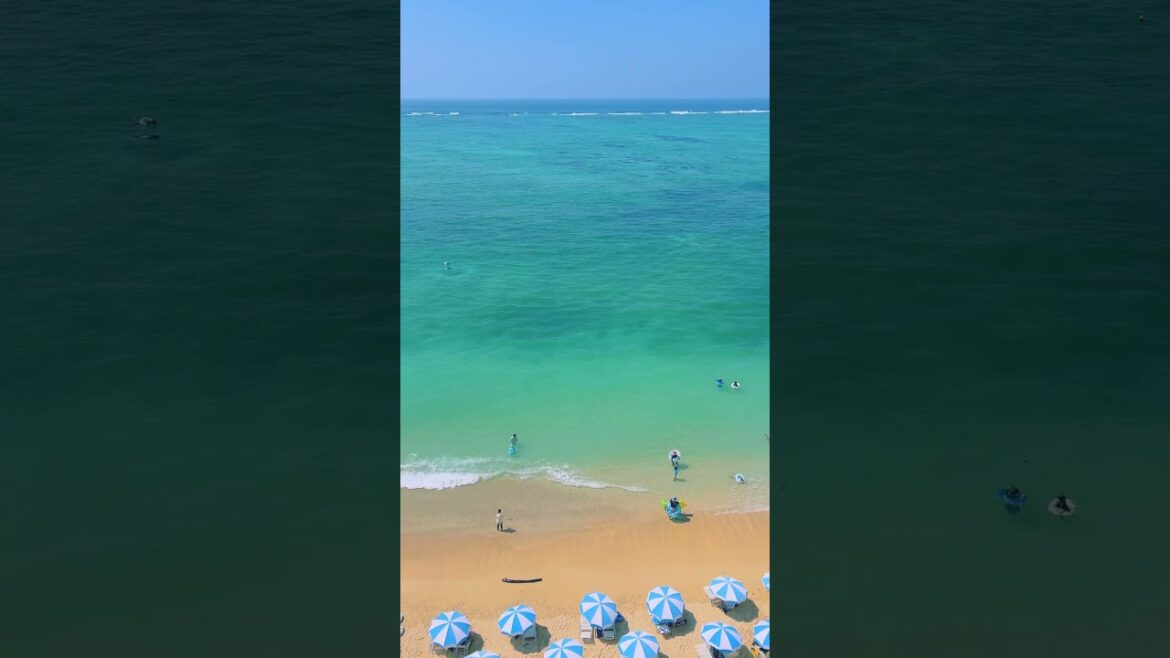 沖縄では海水浴はまだまだ、楽しめます✨