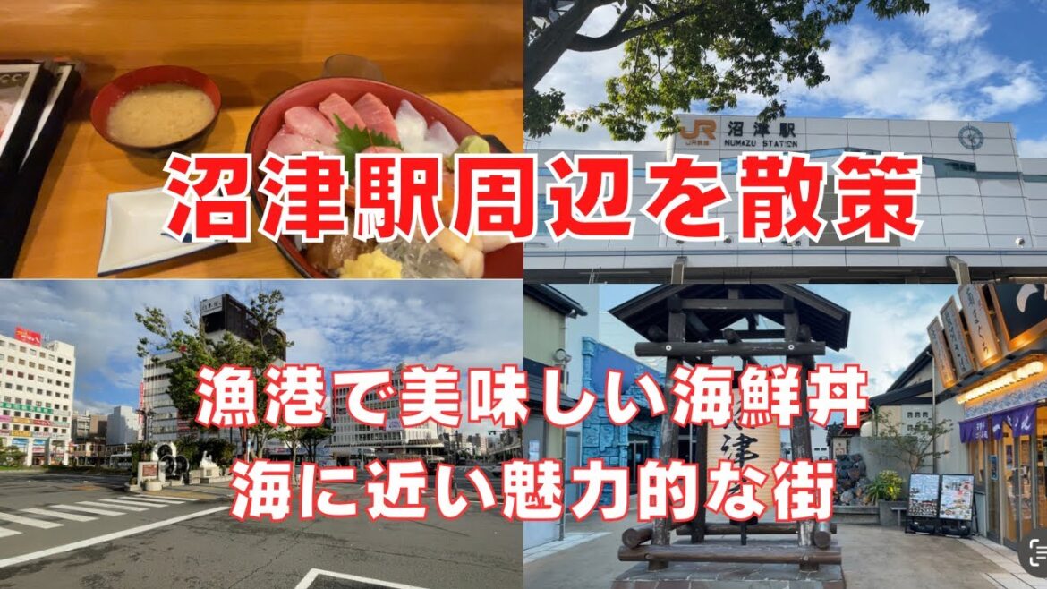 【沼津駅周辺を散策】海や富士山に近い魅力の多い街・沼津駅の駅周辺のご紹介!Walking Around Numazu city 【沼津駅周辺を散策】海や富士山に近い魅力の多い街・沼津駅の駅周辺のご紹介!Walking Around Numazu city