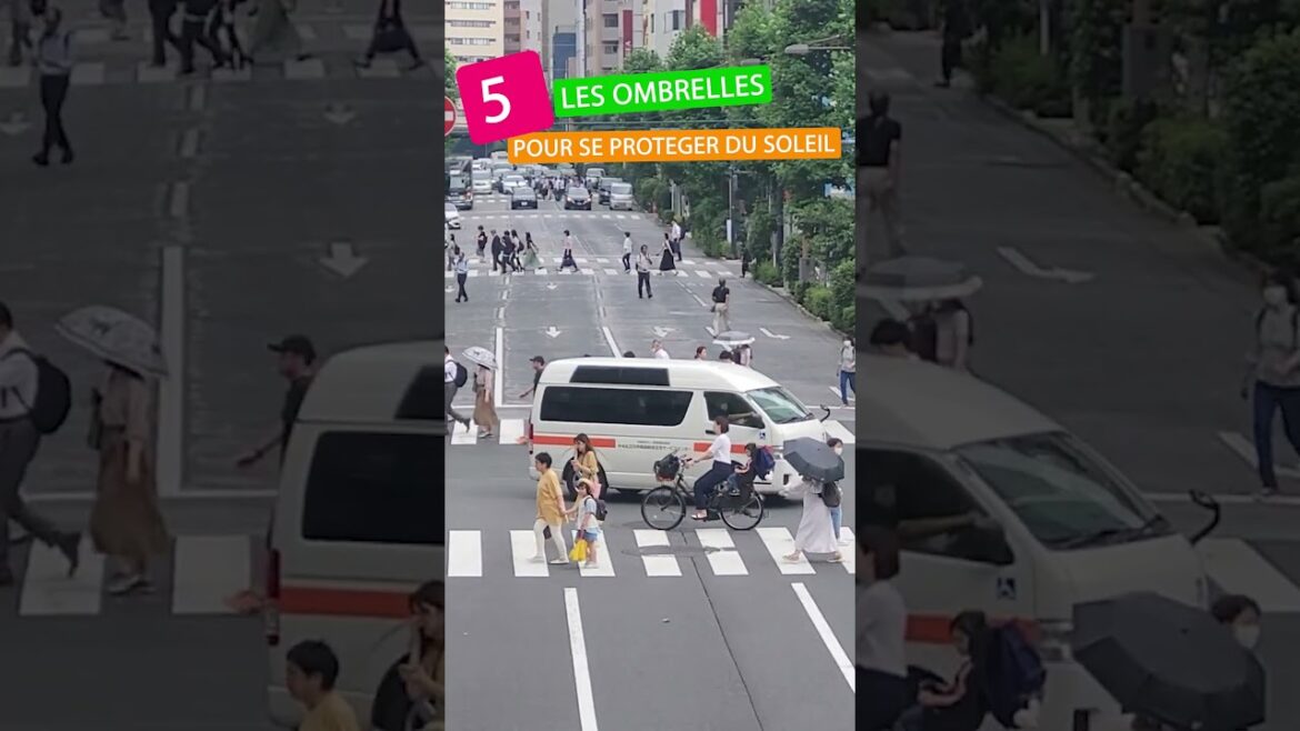 JAPON  : 10 choses incroyables au Japon – PART 1 #japon #top10 #voyage JAPON  : 10 choses incroyables au Japon - PART 1 #japon #top10 #voyage