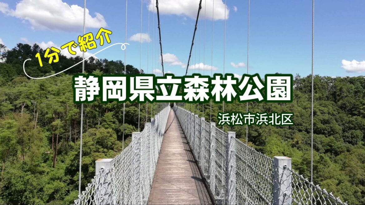 静岡県立森林公園（浜松市浜北区）1分で紹介｜HTC ドライブ観光スポット