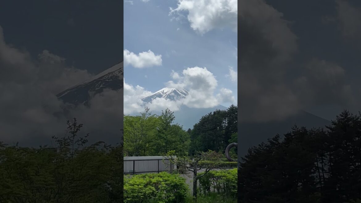 Beautiful Mount Fuji View